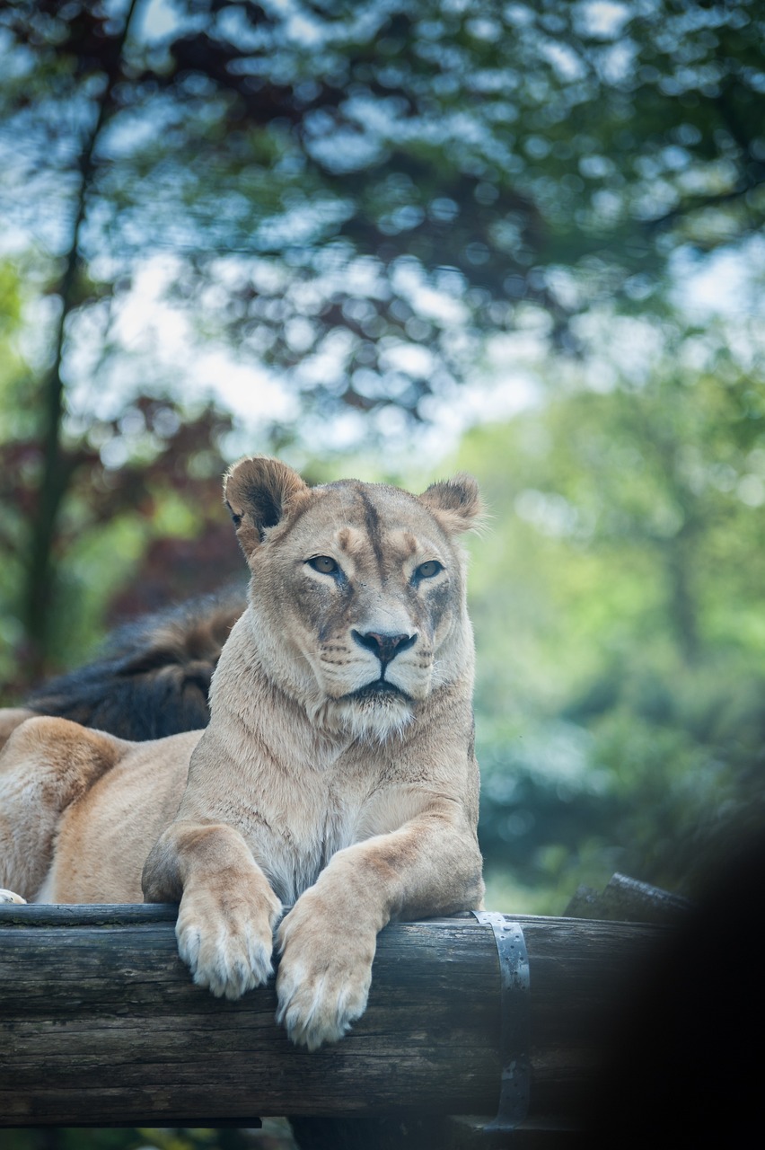 Duisburg Zoo Duisburg