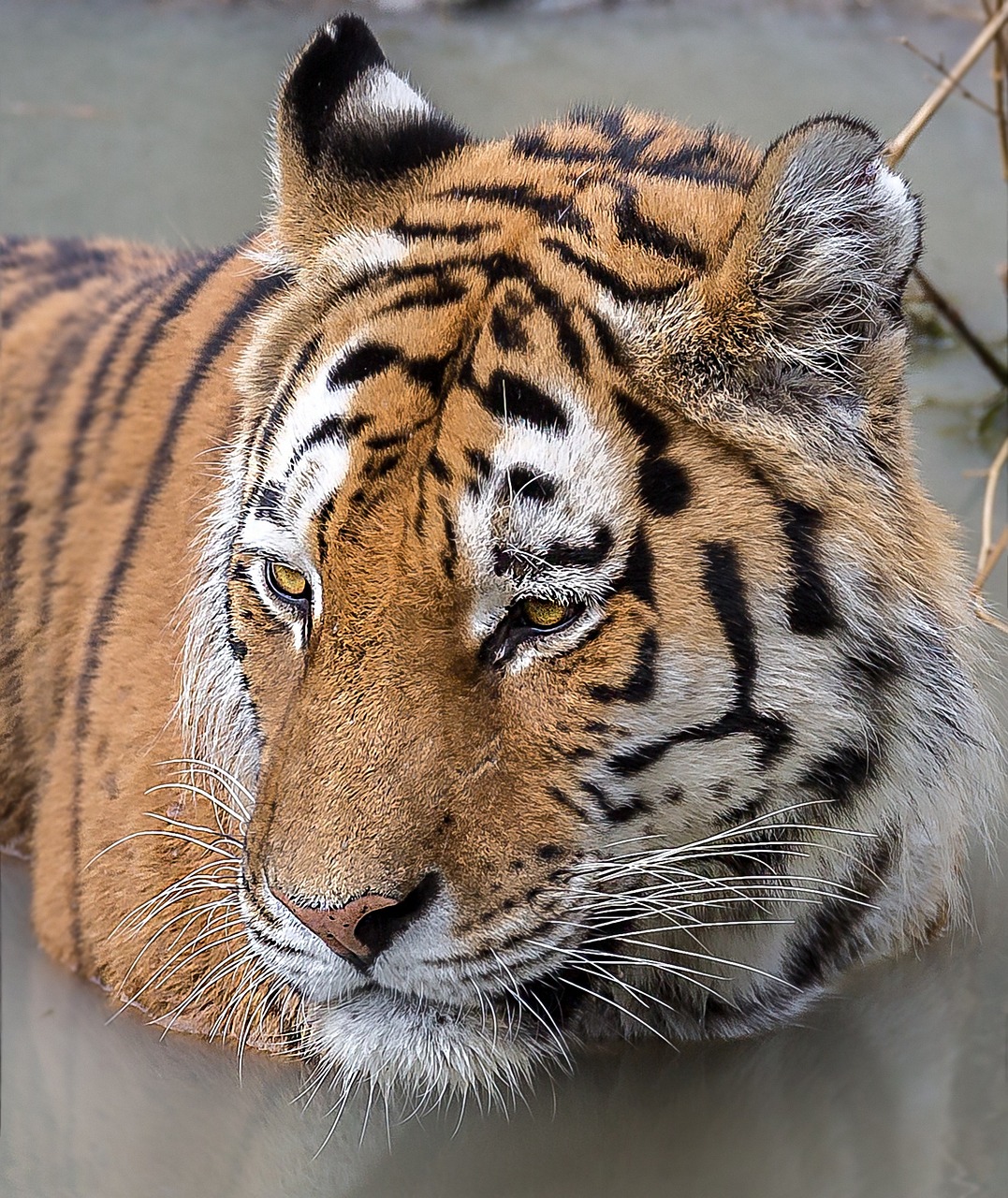Zoo Gelsenkirchen