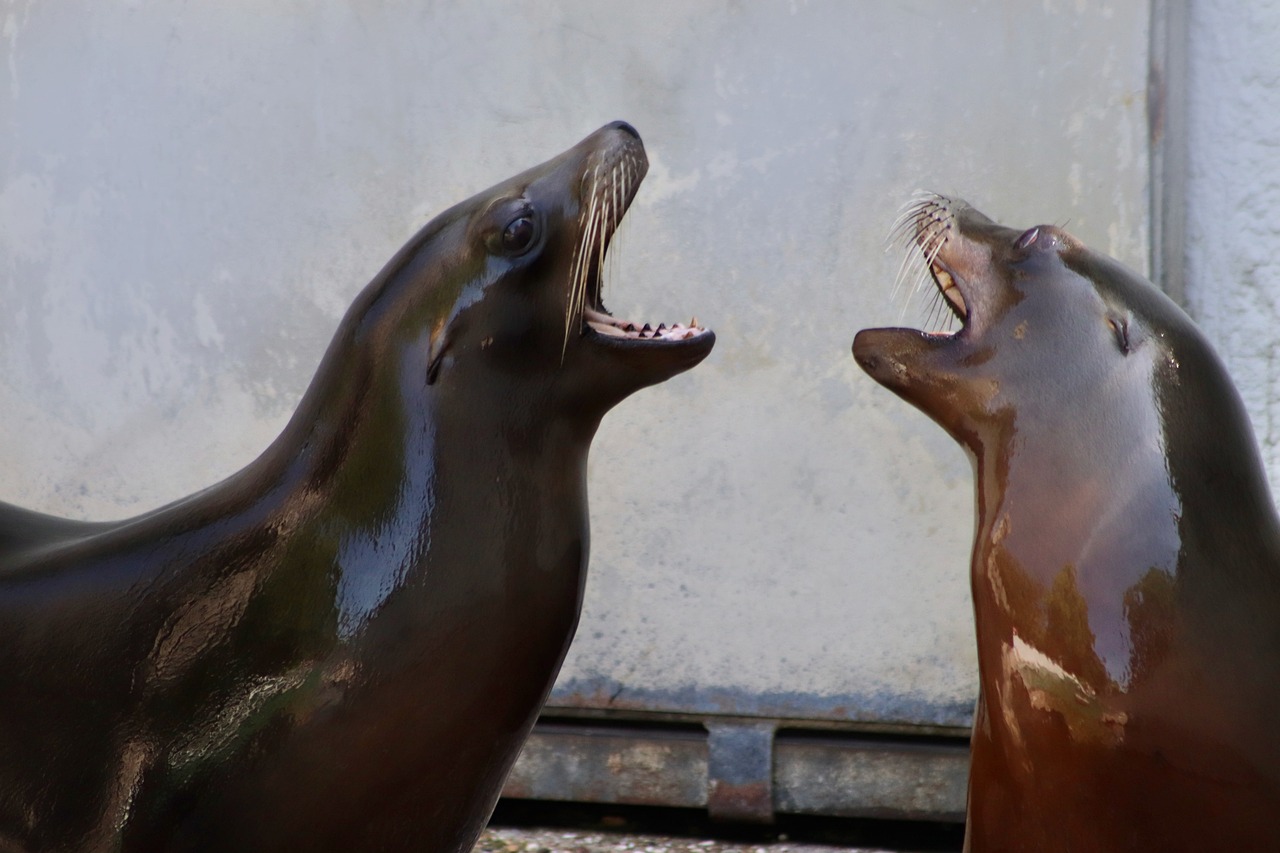 Zoo Wuppertal